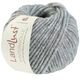 Lana Grossa LANDLUST WINTERWOLLE | 32-gray blue mottled