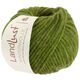Lana Grossa LANDLUST WINTERWOLLE | 36-apple green mottled