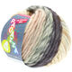 Lana Grossa LEI Mouliné/Color Mix/Spray (Ragazza) | 258-raw white/pale rose/golden brown/blue violet