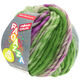 Lana Grossa LEI Tweed Color (Ragazza) | 402-blue gray/green/red violet mottled