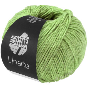Lana Grossa LINARTE | 338-spring green