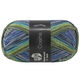 Lana Grossa MEILENWEIT 6-FACH 150g Cosima | 9714-