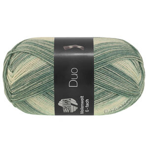 Lana Grossa MEILENWEIT 6-FACH 150g Duo | 9725-green gray/purple gray