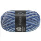 Lana Grossa MEILENWEIT 6-FACH 150g Freddo | 9741-blue gray/sky blue/dark blue/dark gray/white/light blue/ice blue