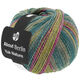 Lana Grossa MEILENWEIT 100g Yak Nature (ABOUT BERLIN) | 681-light gray/gray blue/gray green/yellow green/dark green/fuchsia mottled