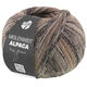 Lana Grossa MEILENWEIT 100g Alpaca Mix | 2301-