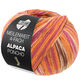 Lana Grossa MEILENWEIT 100g Alpaca Poncho | 2723-orange/fuchsia/cream/heather/brown
