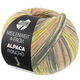 Lana Grossa MEILENWEIT 100g Alpaca Poncho | 2724-silver gray/light gray/dark gray/light olive/sand beige