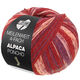 Lana Grossa MEILENWEIT 100g Alpaca Poncho | 2727-wine red/red violet/plum blue/kiwi/rose