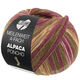 Lana Grossa MEILENWEIT 100g Alpaca Poncho | 2728-moss green/red violet/ecru/orange/brown