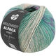 Lana Grossa MEILENWEIT 100g Alpaca Print | 2203-