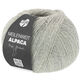Lana Grossa MEILENWEIT 100g Alpaca | 2013-stone gray