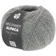Lana Grossa MEILENWEIT 100g Alpaca | 2014-gray