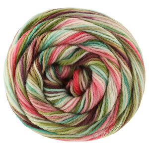 Lana Grossa MEILENWEIT 100g Cascata | 5205-mocha/dark brown/gray brown/rose/subtle green/linden green/gray green/jade/pink/turquoise