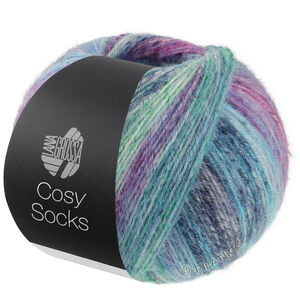 Lana Grossa MEILENWEIT 100g Cosy Socks Dream | 255-blue gray/petrol/turquoise/blue violet/red violet/light blue/jeans/jade