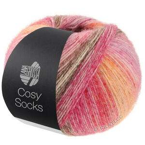 Lana Grossa MEILENWEIT 100g Cosy Socks Dream | 257-red violet/plum/lilac/terracotta/dark gray/medium gray/pink/saffron yellow