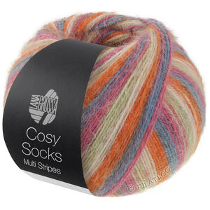 Lana Grossa MEILENWEIT 100g Cosy Socks Multi Stripes | 154-dark gray/gray blue/fuchsia/light green/cream/orange