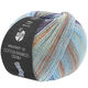 Lana Grossa MEILENWEIT 100g Cotton Bamboo Denim | 3315-light gray/ice blue/gray/hazelnut brown/dark blue/light blue