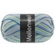 Lana Grossa MEILENWEIT 100g Foresta | 5322-light blue/light gray/purple/dark violet/dark green/light green/mint/mint turquoise