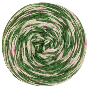 Lana Grossa MEILENWEIT 100g Merino Hand-dyed | 06-