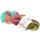 Lana Grossa MEILENWEIT 100g Merino Hand-dyed | 407-turquoise/gray/red violet/terracotta/subtle yellow/mud
