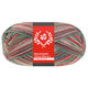 Lana Grossa MEILENWEIT 100g Merino Christmas | 6807-white/dark green/dark brown/orange/light green