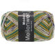 Lana Grossa MEILENWEIT 100g Modello | 4375-light gray/caramel/mustard/dark green/amethyst