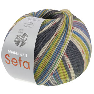 Lana Grossa MEILENWEIT 100g Seta Giappone | 3387-dark gray/ecru/terracotta/sweet lime/mouse gray/pistachio/azure blue