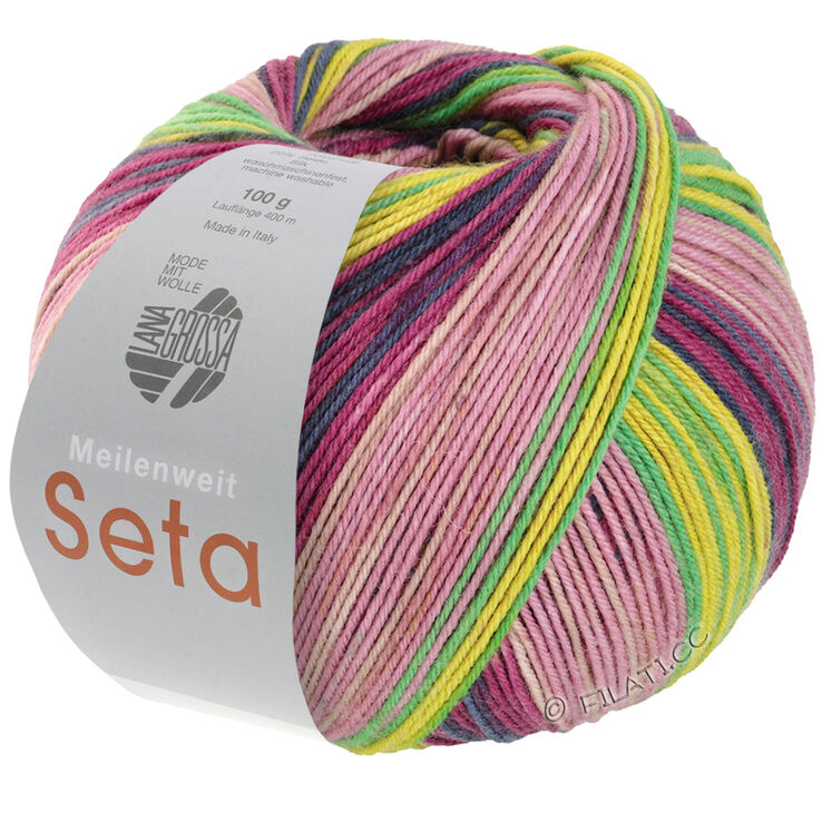 Lana Grossa MEILENWEIT 100g Seta Papillon | 3261-