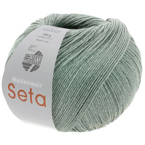 Lana Grossa MEILENWEIT 100g Seta | 14-gray