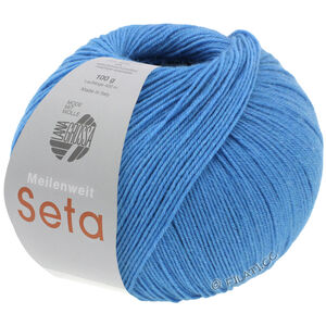 Lana Grossa MEILENWEIT 100g Seta | 31-blue