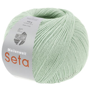 Lana Grossa MEILENWEIT 100g Seta | 61-mint turquoise