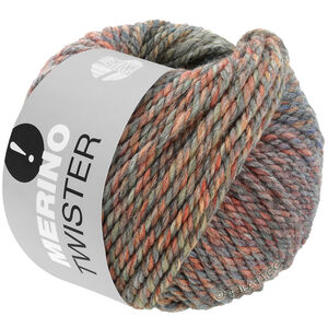 Lana Grossa MERINO TWISTER | 01-blue gray/gray/rosewood/green gray