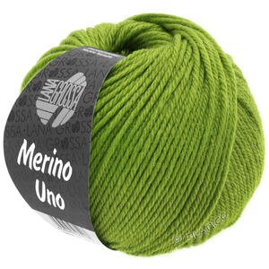 Lana Grossa MERINO UNO | 21-apple green