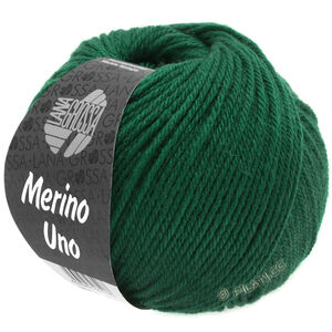 Lana Grossa MERINO UNO | 22-bottle green