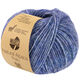 Lana Grossa NATURAL ALPACA Pelo | 034-blue mottled