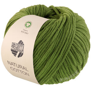 Lana Grossa NATURAL COTTON (GOTS) | 03-green