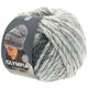 Lana Grossa OLYMPIA Denim | 252-white/gray mottled/medium gray/dark gray