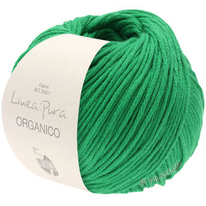 Lana Grossa ORGANICO (Linea Pura) | 129-green