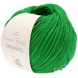 Lana Grossa ORGANICO (Linea Pura) | 163-grass green