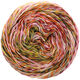 Lana Grossa PAPPAGALLO | 16-rose/wine red/yellow/white/mandarin/dark brown