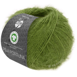 Lana Grossa PER FORTUNA (GOTS) | 58-green