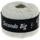 Lana Grossa SECONDO Big | 608-white