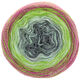 Lana Grossa SHADES OF MERINO COTTON | 617-dark gray/light gray/mint/light olive/olive/fuchsia