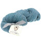 Lana Grossa SLOW WOOL LINO | 21-gray blue
