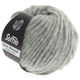 Lana Grossa SOFFILO | 03-light gray mottled