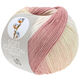 Lana Grossa SOFT COTTON Dégradé | 110-subtle rose/beige rose/antique pink/beige red