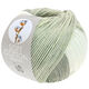 Lana Grossa SOFT COTTON Dégradé | 114-white/silver gray/light gray/gray