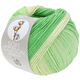 Lana Grossa SOFT COTTON Dégradé | 118-ecru/subtle green/jade