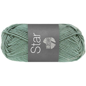 Lana Grossa STAR | 114-mint gray
